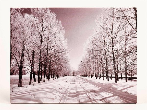 Quadro luminoso a led immagini bosco innevato bianco e nero / luci bianche