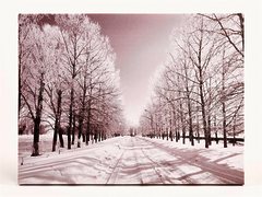 Quadro luminoso a led immagini bosco innevato bianco e nero / luci bianche